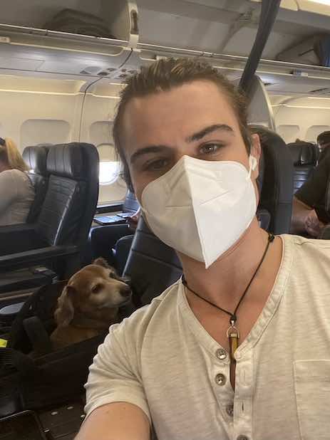 United flight onboard with dog